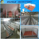Hot sale pig sty farming equipment/piglets nersery crate/0086-13283896221