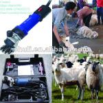 Electric Sheep Clipper 0086-13703825271