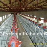 Sow Single Crate