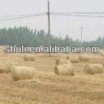 best quality Bundling machine for the hay crop//0086-15838061756