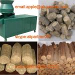 2013 hot sale biomass briquette machine for sale