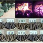 Hot selling biomass briquette machine