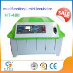 newest reptile incubator auto mini incubator