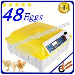 chicken eggs hatchery machine for 48 eggs fit for small farm automatic control