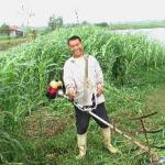 manual hand grass cutter (skype:wendyzf1)