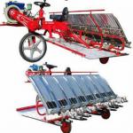 China paddy rice transplanter