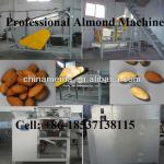2013 Popular Complete pine nuts shelling machine Whole Processing Line of Shelling,Peeling,Cutting,Separating