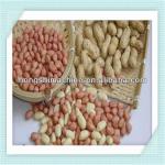 The hot selling of high quality peanut shelling machine