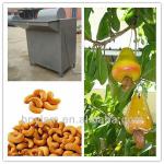 cashew nuts peeling machine/cashew nut processing machine/machine for shelling nuts