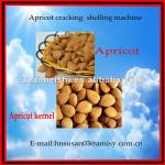 Apricot processing machine 0086-13523507946