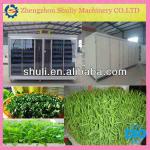 hydroponic bean sprout growing machine/mung bean sprout machine/soybean sprout machine with low price0086-13676910179