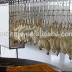 automatic chicken slaughtering machine