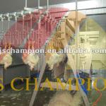A Frame Primary Plucker for Poultry Slaughter House