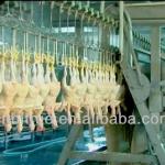 chicken slaughter defeather machine