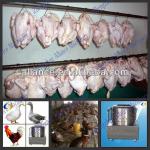 0086-15093184608 poultry plucker machinery on sale