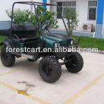 4x4 Utility Vehicle, Electric Power, with 2 Seats