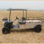 2-Seater Electric Utility Cart