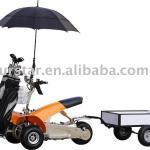 1000W UTILITY GOLF TROLLEY SX-E0906-6A