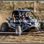 Europe Design Beach Buggy for Sale