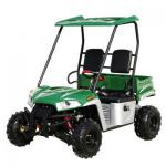 Cheap 150cc Full Size Forester UTV Utility Vehicle from USA