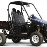 Cheap LG 650cc Discovery UTV Utility Vehicle from USA