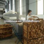 Tunnel microwave wood drying machine