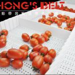 25.4mm Pitch Modular Belt with side wall and cleat for Food processing