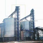 2012 Large capacity Grain Bucket Elevator