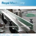 bottle Conveyor system for beverage filling lines