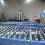 Electric Roller Conveyor (Stainless Steel)