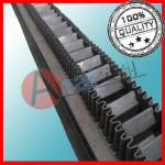 Steel cord conveyor belt