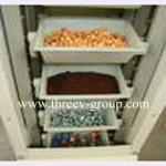 Elevator conveyor system For agriculture material handling transport