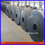 Long warranty NN conveyor belt / nylon conveyor belt supplier