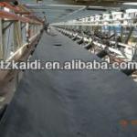 Anti-Acid and Alkali Conveyor Belt