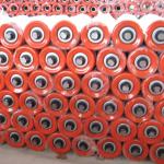 Conveyor Roller