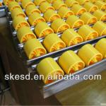 ESD Placon Roller Track | Roller Tracks / Placon Korea