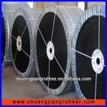 high quality polyester canvas (EP250 ) conveyor belt