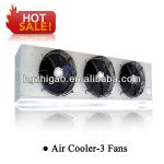 Evaporating Air Coolers For Cold Storage Cool Room DD24