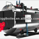 Natural gas hot water boiler