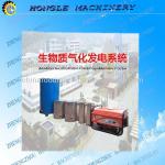 biomass gasifier with top quality