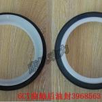 Cummins 6CT 3968563 Engine Rear Seal