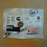 Cummins M11 3104151 Valve spring seat