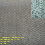 Filtering mesh for liquid and gas