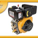 296cc 6.6HP Single Cylinder Portable Manual/Electric Start Diesel Engine For Sale S178F