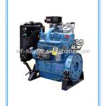 495ZD power Generating engine diesel with Elec Governer