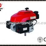 Petor vertical shaft motors with clutch and reducer
