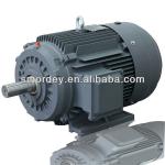SM series three phase induction motor