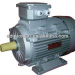 Different Voltage Three Phase Electric Motor