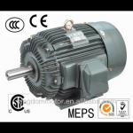 Cast iron three phase AC Motor UL,CSA,CE,MEPS,CCC