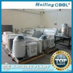 0.5 ton flake ice making on seaside,flake ice making machine